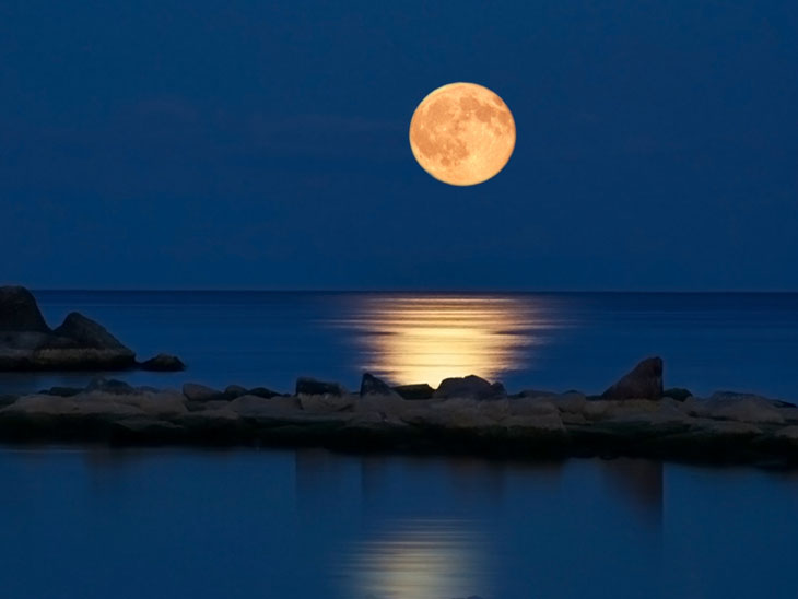 دانلود آهنگ کی اومدو ولش کن 